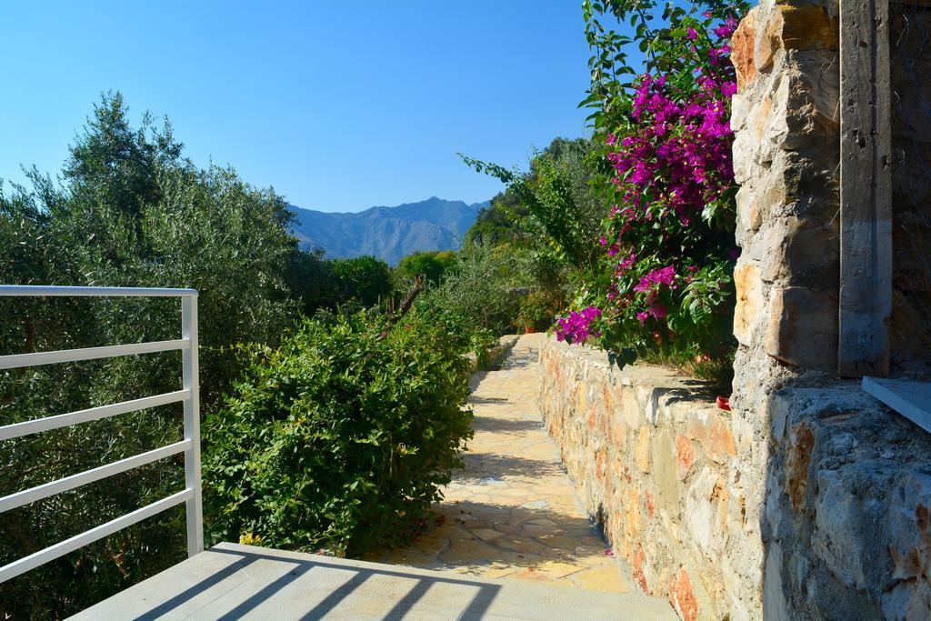 בורש Villa Goxhi חדר תמונה